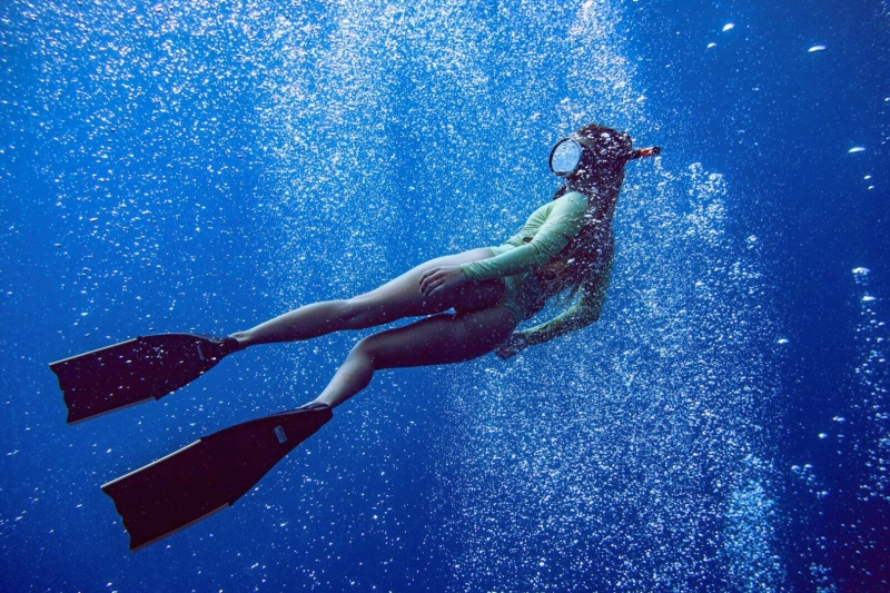 Snorkeling with Sharks